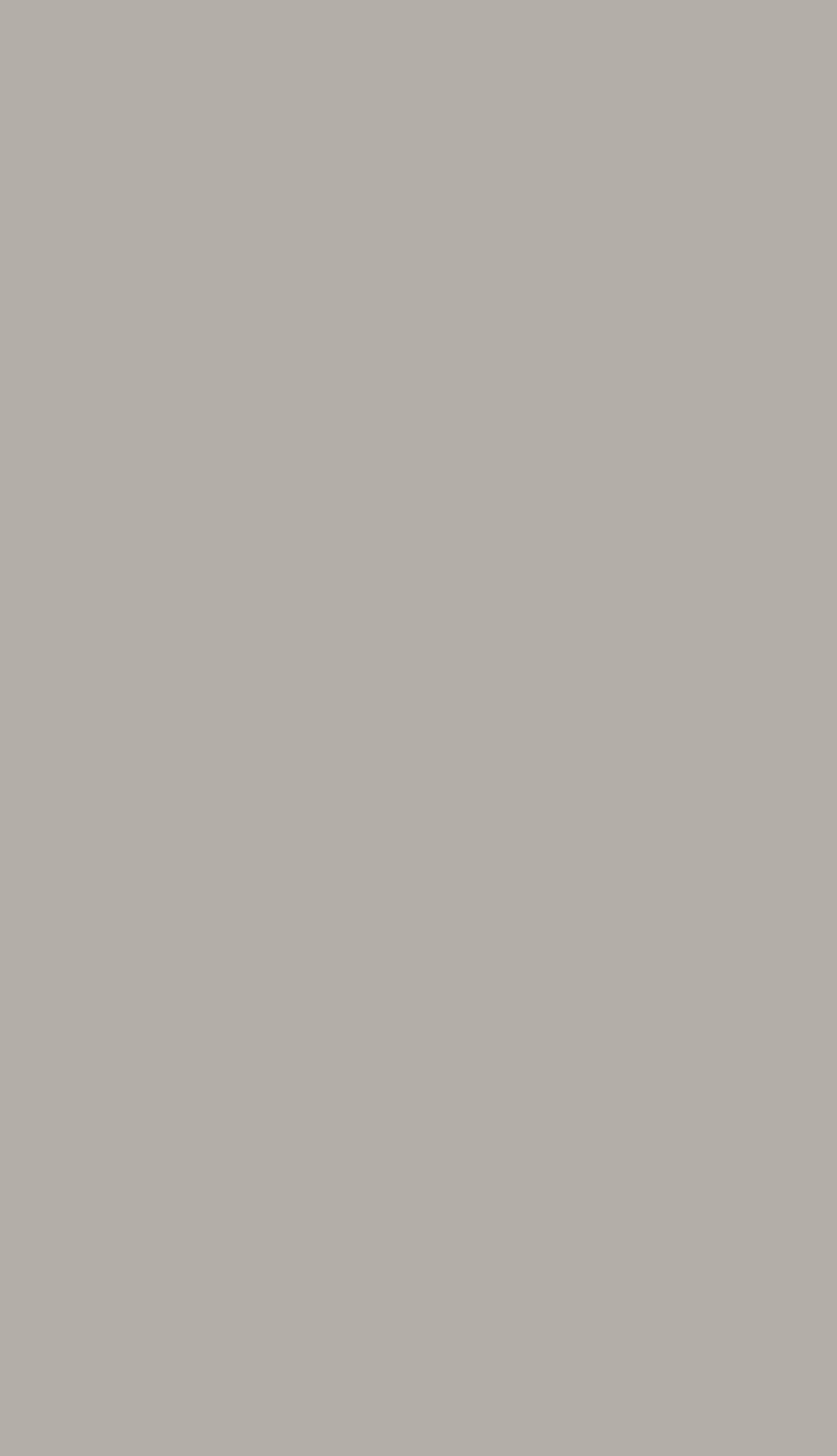 Glossy Light Gray