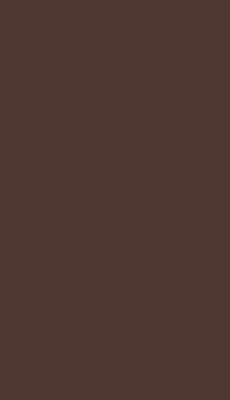 Glossy Brown