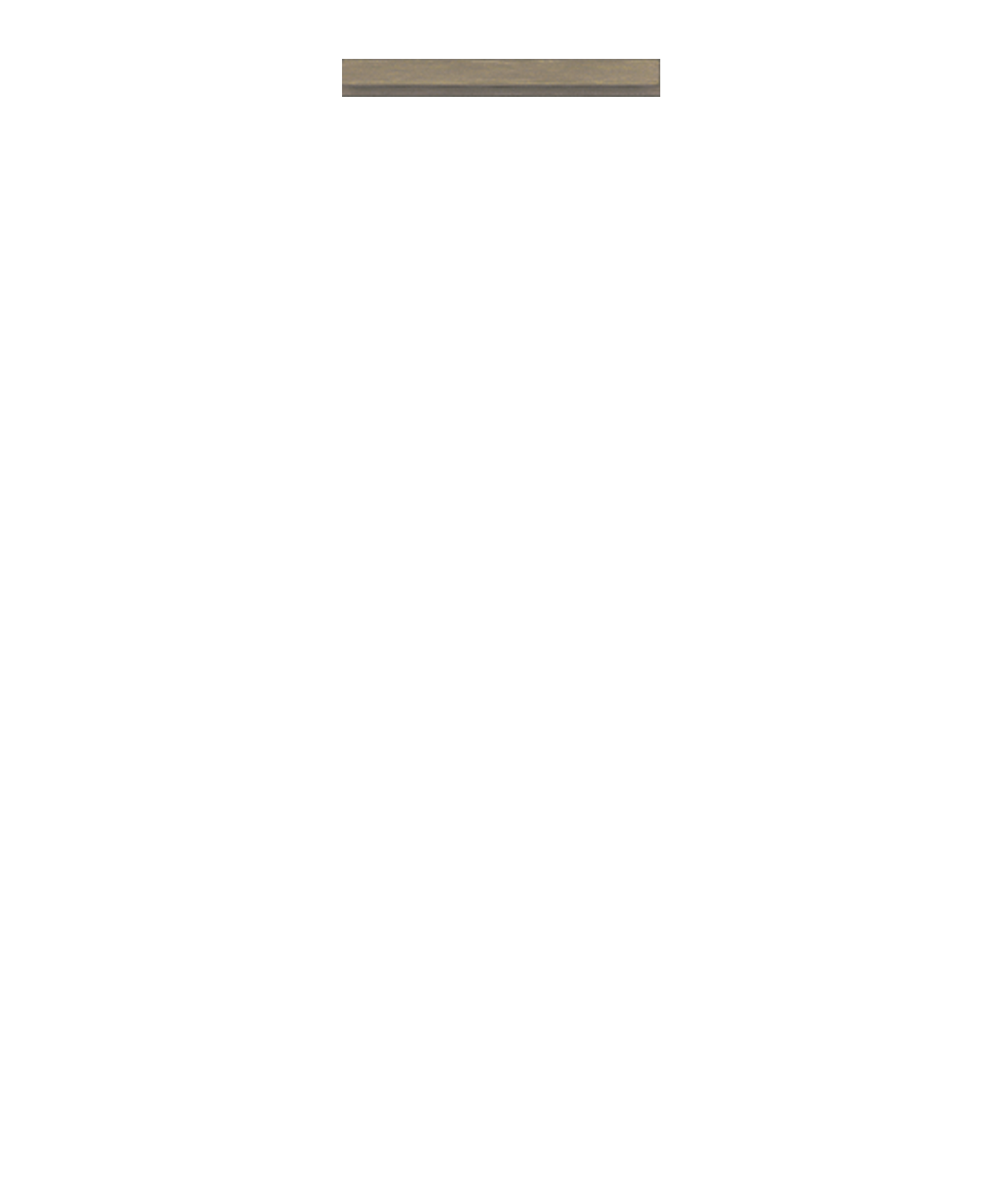 Otto Model Renkleri