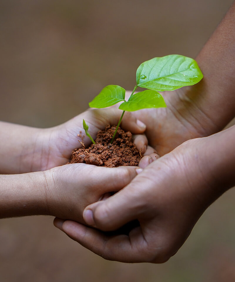 ISO-14001 Çevre Yönetim Sistemi Sertifikası